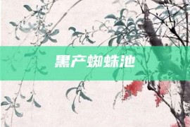 黑产蜘蛛池