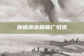 蜘蛛池出租推广引流