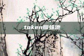 token蜘蛛池