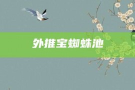 外推宝蜘蛛池