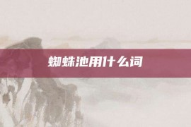 蜘蛛池用什么词