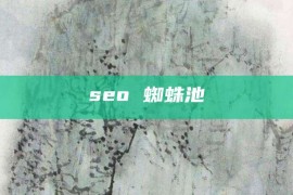 seo 蜘蛛池