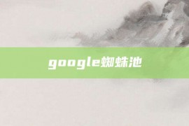 google蜘蛛池