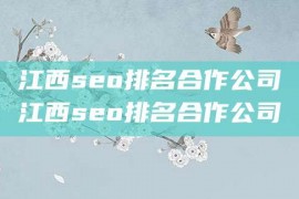 江西seo排名合作公司江西seo排名合作公司