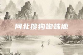 河北搜狗蜘蛛池