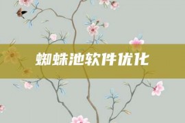 蜘蛛池软件优化