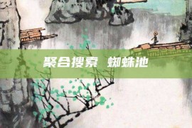 聚合搜索 蜘蛛池