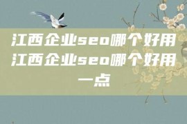 江西企业seo哪个好用江西企业seo哪个好用一点