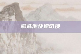 蜘蛛池快速切换