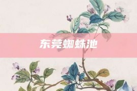 东莞蜘蛛池