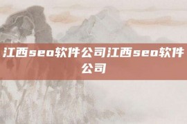 江西seo软件公司江西seo软件公司