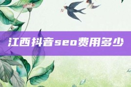 江西抖音seo费用多少