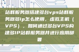 站群服务器搭建多台vps站群服务器多ip怎么使用，虚拟主机（VPS），如何通过多台VPS构建多IP站群服务器并进行应用部署