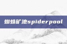 蜘蛛矿池spiderpool