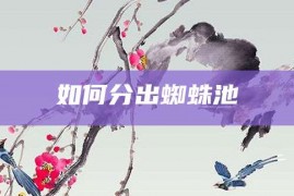 如何分出蜘蛛池