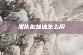 黑侠蜘蛛池怎么用