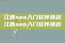 江西seo入门软件排名江西seo入门软件排名