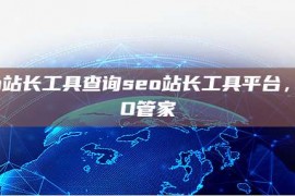 seo站长工具查询seo站长工具平台，SEO管家