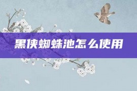 黑侠蜘蛛池怎么使用