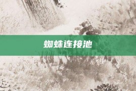 蜘蛛连接池