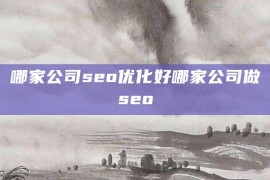 哪家公司seo优化好哪家公司做seo