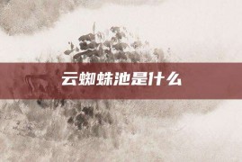 云蜘蛛池是什么