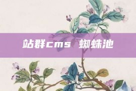 站群cms 蜘蛛池