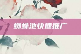 蜘蛛池快速推广