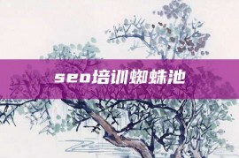 seo培训蜘蛛池