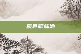 灰色蜘蛛池