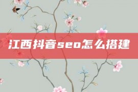 江西抖音seo怎么搭建