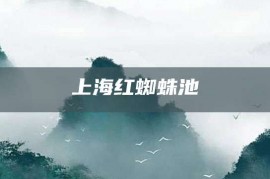 上海红蜘蛛池