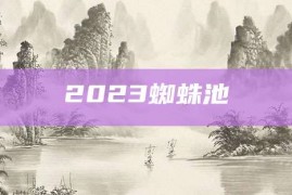 2023蜘蛛池