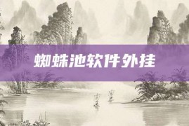 蜘蛛池软件外挂