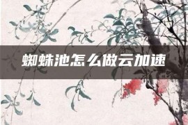 蜘蛛池怎么做云加速