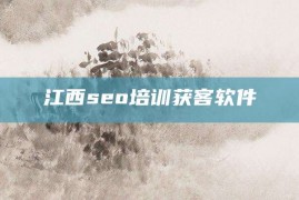 江西seo培训获客软件