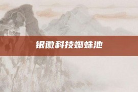 银徽科技蜘蛛池