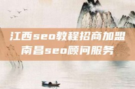 江西seo教程招商加盟南昌seo顾问服务