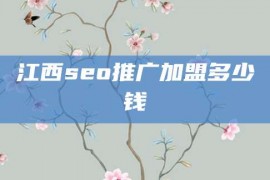 江西seo推广加盟多少钱