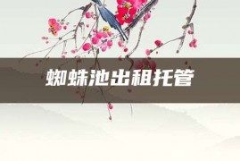 蜘蛛池出租托管