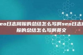 seo日志周报的总结怎么写啊seo日志周报的总结怎么写啊英文