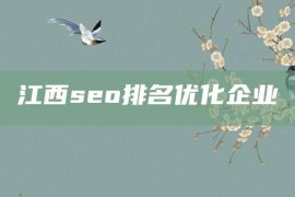 江西seo排名优化企业