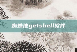 蜘蛛池getshell软件