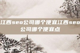 江西seo公司哪个便宜江西seo公司哪个便宜点