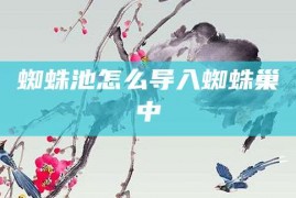 蜘蛛池怎么导入蜘蛛巢中