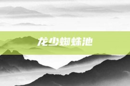 龙少蜘蛛池