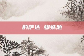 的萨达 蜘蛛池