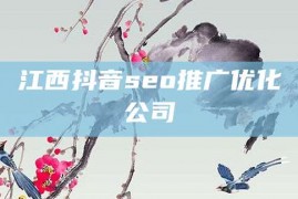 江西抖音seo推广优化公司