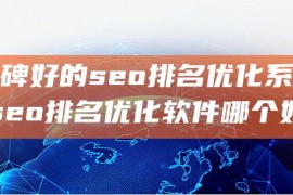 口碑好的seo排名优化系统seo排名优化软件哪个好