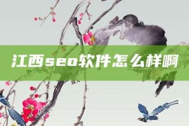 江西seo软件怎么样啊